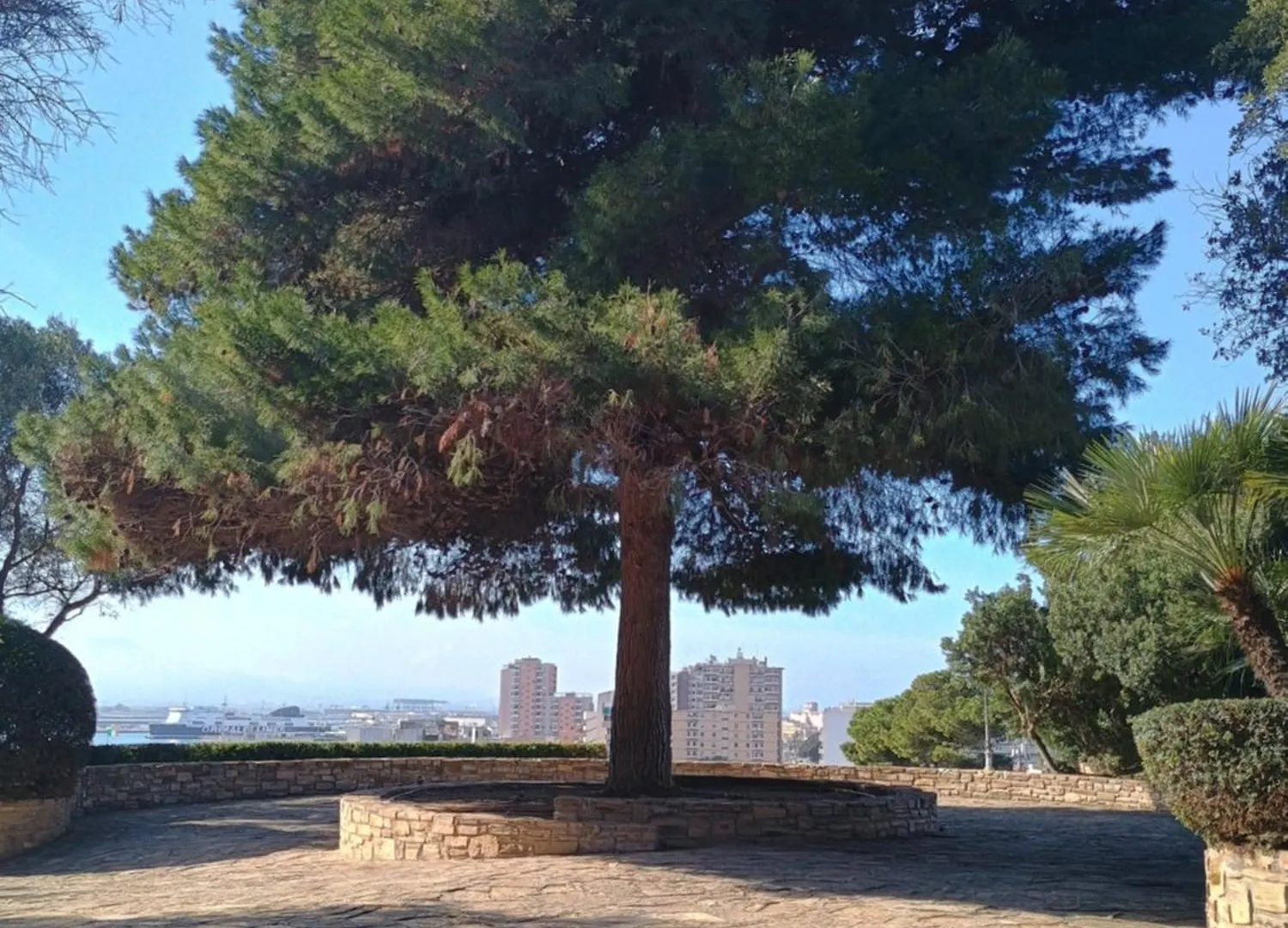 House 4C Apartment Cagliari